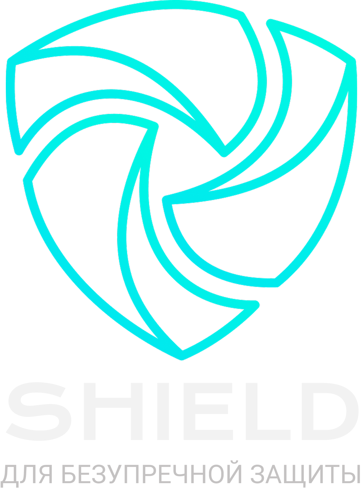 SHIELD — Для безупречной защиты